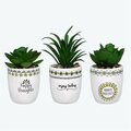 Youngs Ceramic Handmade Pots with Succulent Set - Small - 3 Piece 72477
